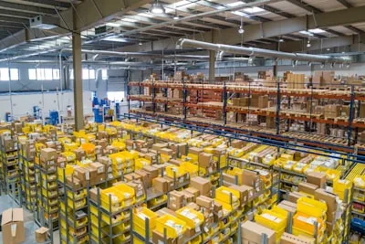 Trust Logistic Cargo Van Loading
